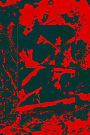 纹理印花华亿平台图片