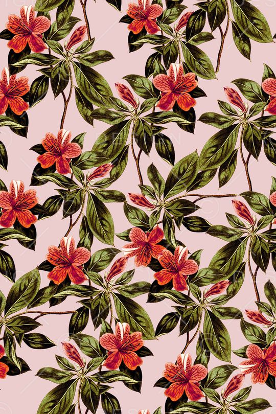 绿植树叶印花华亿平台图片