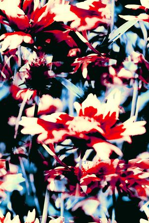 抽象花卉印花华亿平台图片