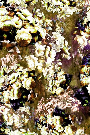 151312-wl4-0335F配色5