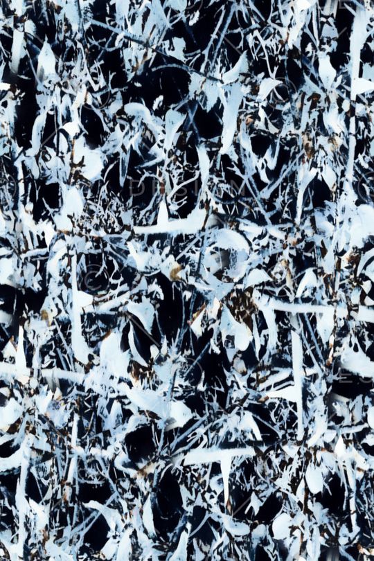 肌理印花华亿平台图片