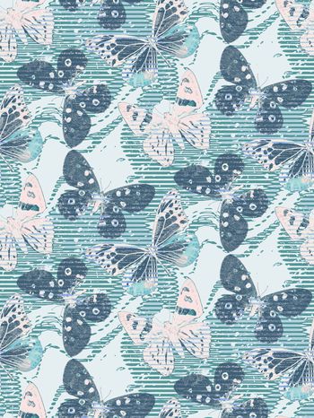 1513157-NX830002蝴蝶