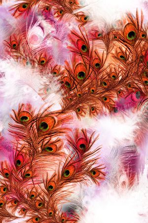 凤凰印花华亿平台图片