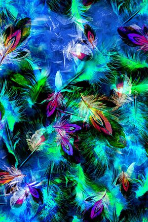 羽毛印花华亿平台图片