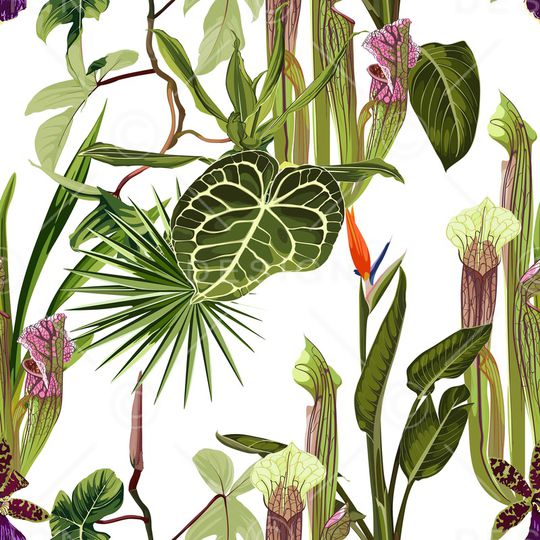 热带华亿平台印花华亿平台图片