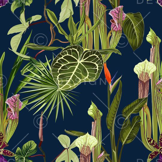 泳装华亿平台印花华亿平台图片