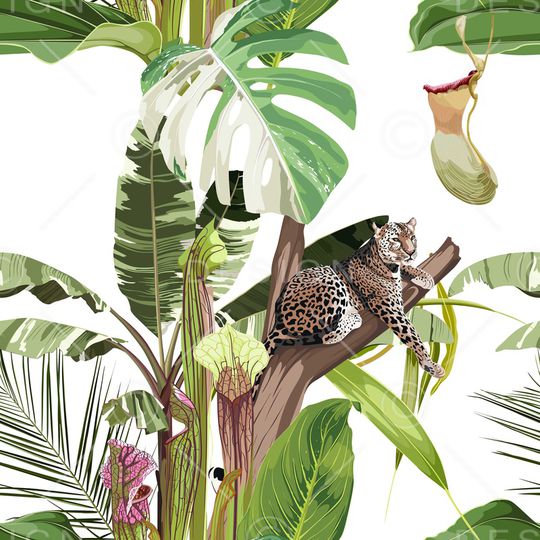 豹子印花华亿平台图片