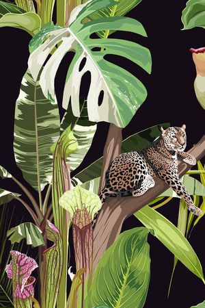 泳装华亿平台印花华亿平台图片