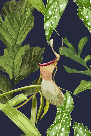 热带华亿平台印花华亿平台图片