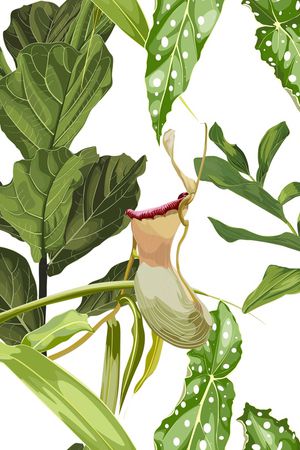 泳装华亿平台印花华亿平台图片