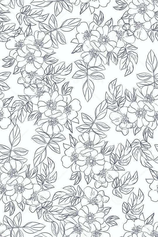 线条印花华亿平台图片