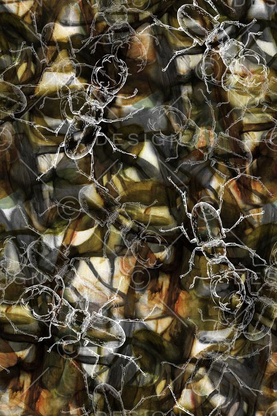 抽象印花华亿平台图片