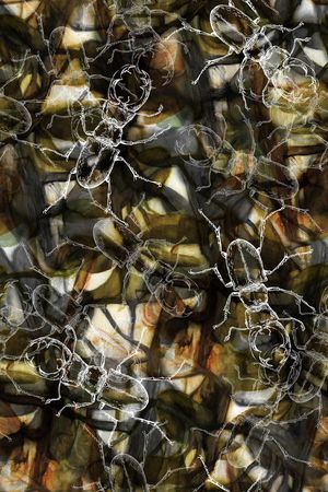 抽象印花华亿平台图片