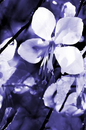 男装印花华亿平台图片