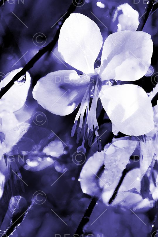 男装印花华亿平台图片