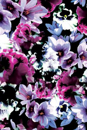 花朵印花华亿平台图片