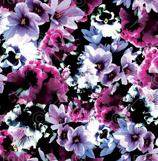 花朵印花华亿平台图片