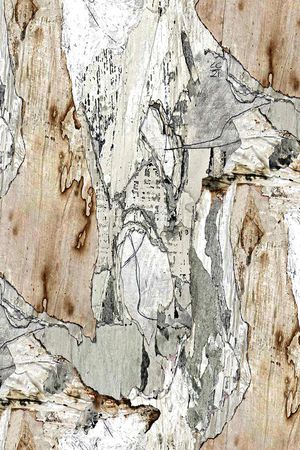 防晒衣印花印花华亿平台图片