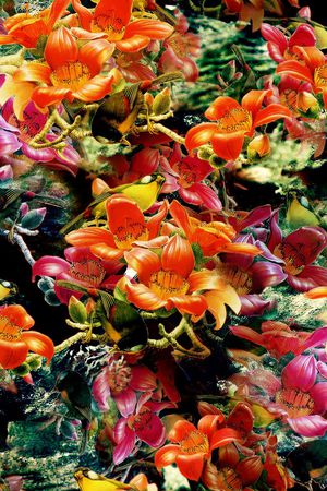 缠枝花卉印花华亿平台图片