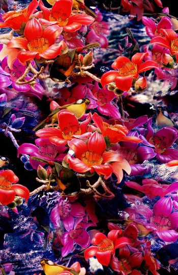 151438-WL4-0351B-c缩小