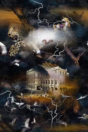 鸟印花华亿平台图片