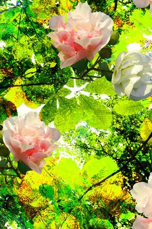 油画印花华亿平台图片