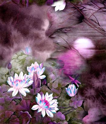 151474-wl4-0356F配色1副本