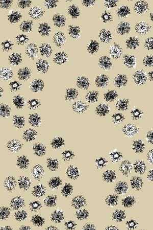 连衣裙印花华亿平台图片