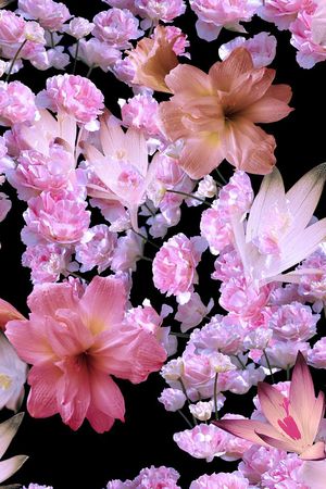 花印花华亿平台图片