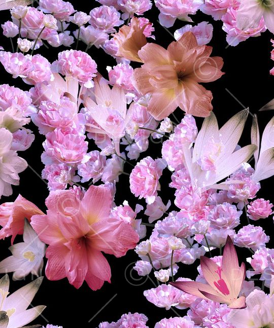 花印花华亿平台图片