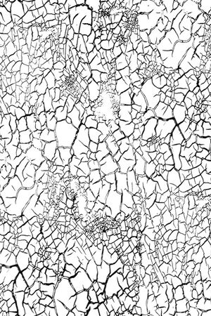 肌理印花华亿平台图片