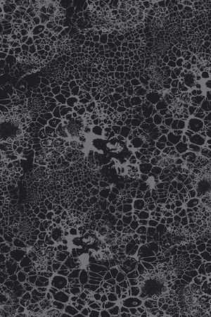 肌理印花华亿平台图片