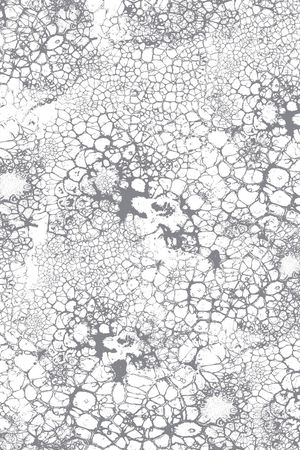 肌理印花华亿平台图片