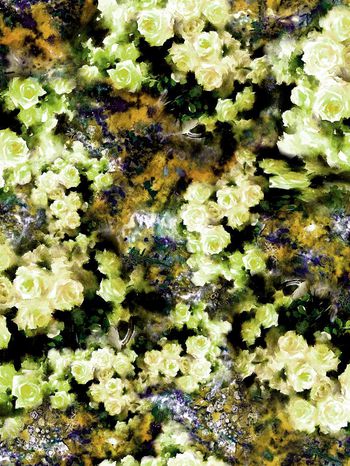 151520-wl4-0362F配色5