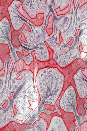 迷彩印花华亿平台图片