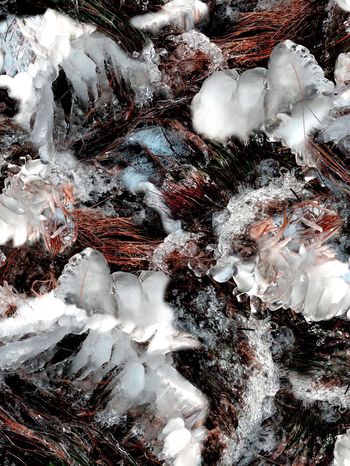 151528-wl4-0364F副本