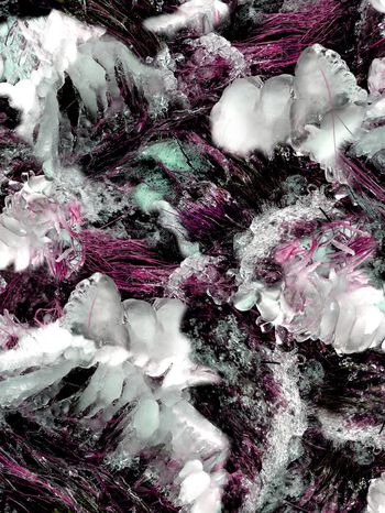 151529-wl4-0364F配色1