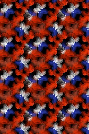 女装印花华亿平台图片