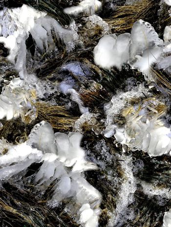 151533-wl4-0364F配色5