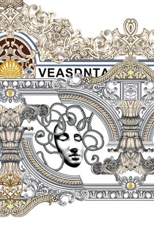 链条印花华亿平台图片