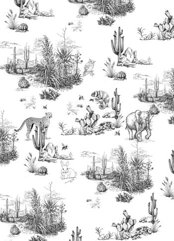 仙人掌印花华亿平台图片