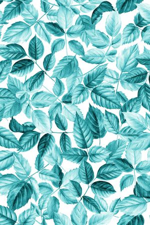 水彩印花华亿平台图片