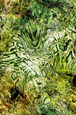 豹纹印花华亿平台图片