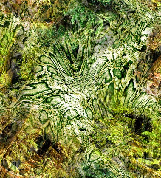 豹纹印花华亿平台图片