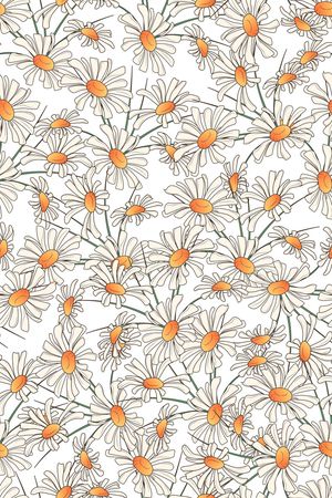 女装印花华亿平台图片