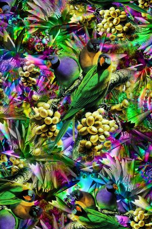 鹦鹉印花华亿平台图片