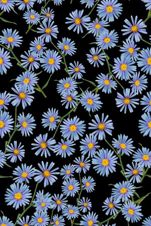 黑底花卉印花华亿平台图片