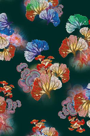 中老年秋冬女装印花华亿平台图片