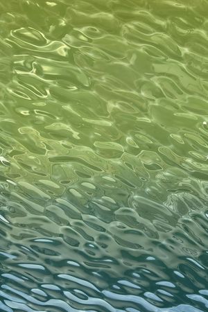 男装定位花印花华亿平台图片