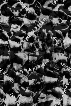 字母印花华亿平台图片